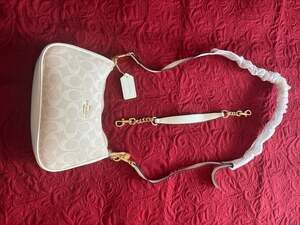Coach Teri Shoulder Bag in Signature Canvas Chalk/White